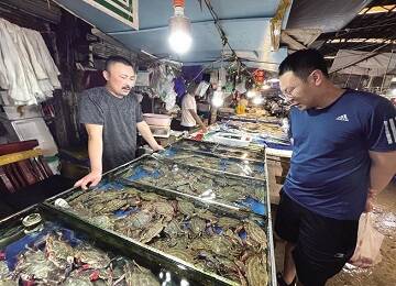 南方开海 烟台本地梭子蟹降价